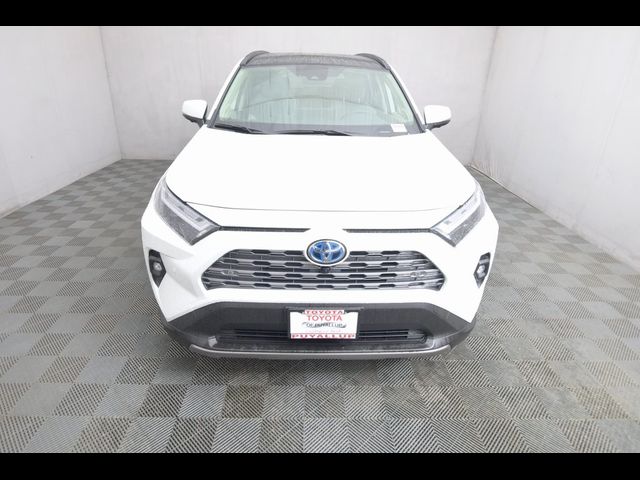 2024 Toyota RAV4 Hybrid Limited