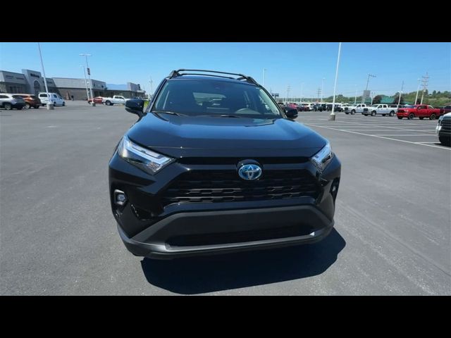 2024 Toyota RAV4 Hybrid Woodland