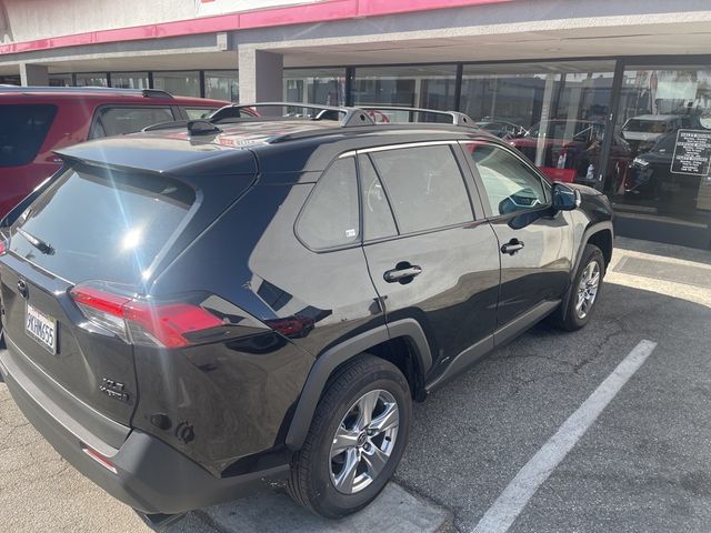 2024 Toyota RAV4 Hybrid XLE