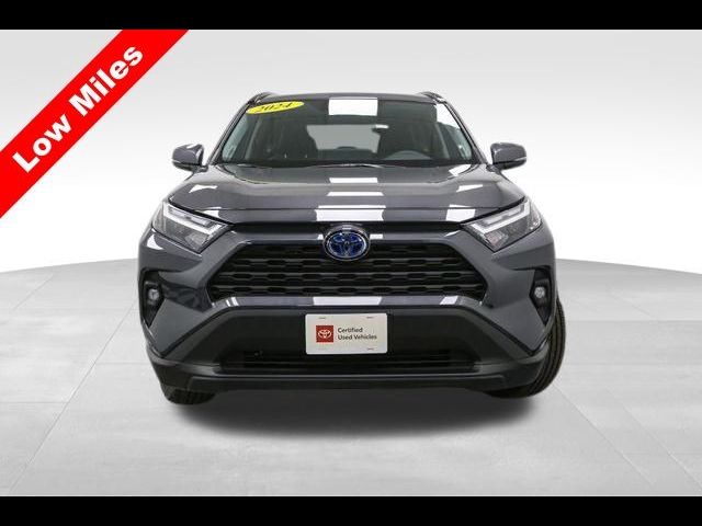 2024 Toyota RAV4 Hybrid XLE Premium