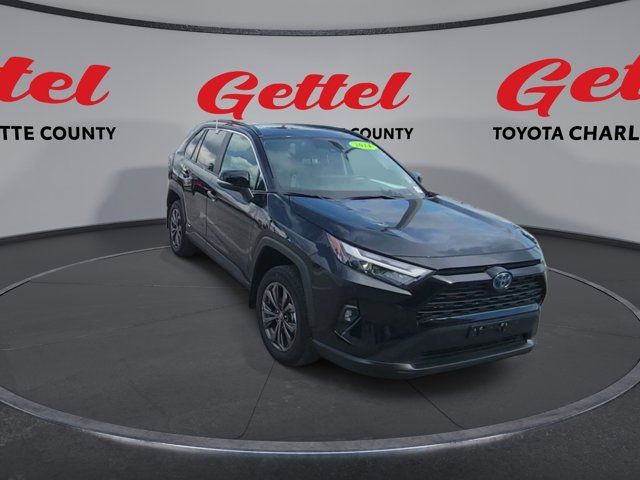 2024 Toyota RAV4 Hybrid XLE Premium