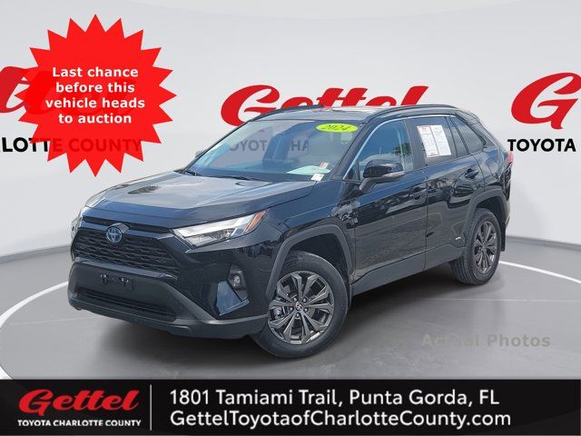 2024 Toyota RAV4 Hybrid XLE Premium