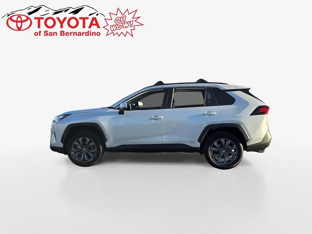 2024 Toyota RAV4 Hybrid XLE Premium