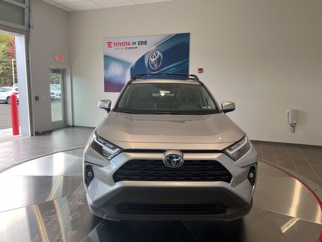 2024 Toyota RAV4 Hybrid XLE Premium