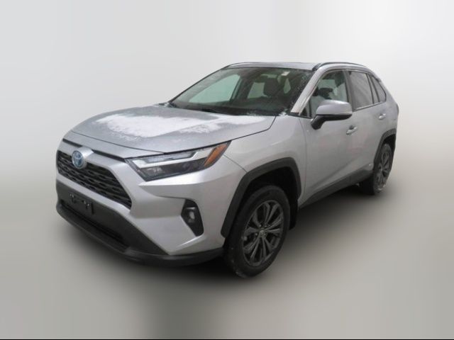 2024 Toyota RAV4 Hybrid XLE Premium