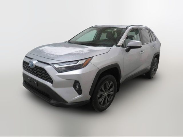 2024 Toyota RAV4 Hybrid XLE Premium