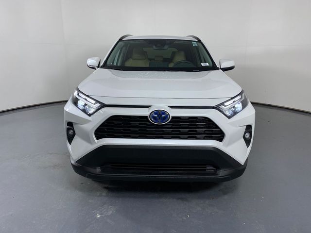 2024 Toyota RAV4 Hybrid XLE Premium