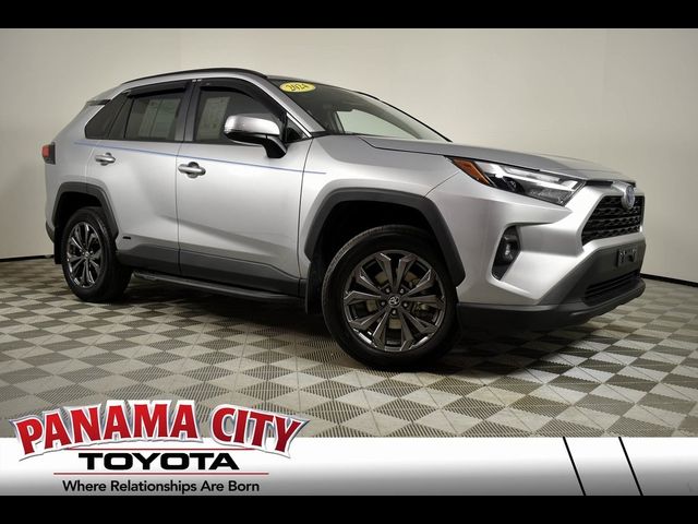 2024 Toyota RAV4 Hybrid XLE Premium