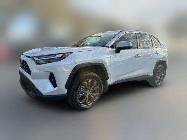 2024 Toyota RAV4 Hybrid XLE Premium