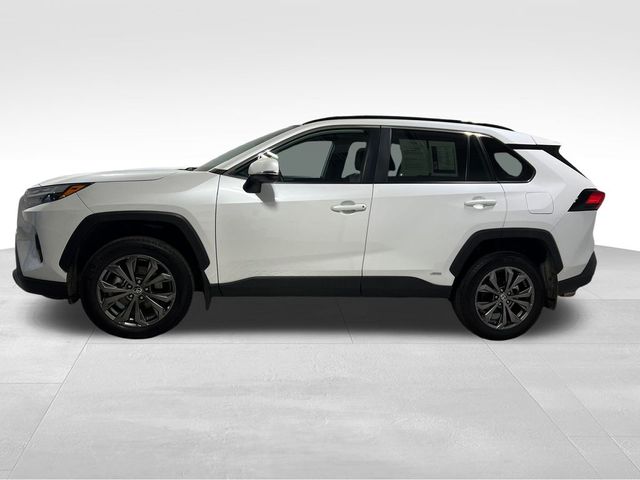 2024 Toyota RAV4 Hybrid XLE Premium