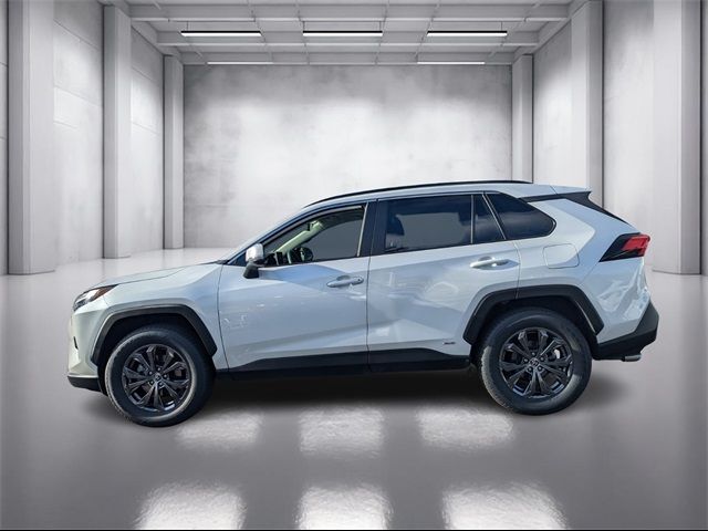 2024 Toyota RAV4 Hybrid XLE Premium