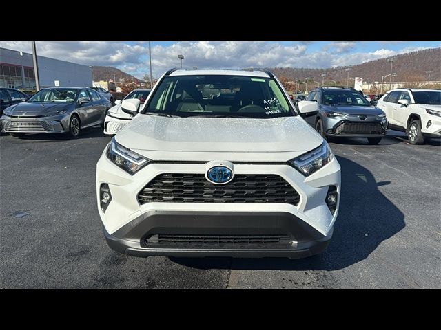 2024 Toyota RAV4 Hybrid XLE Premium