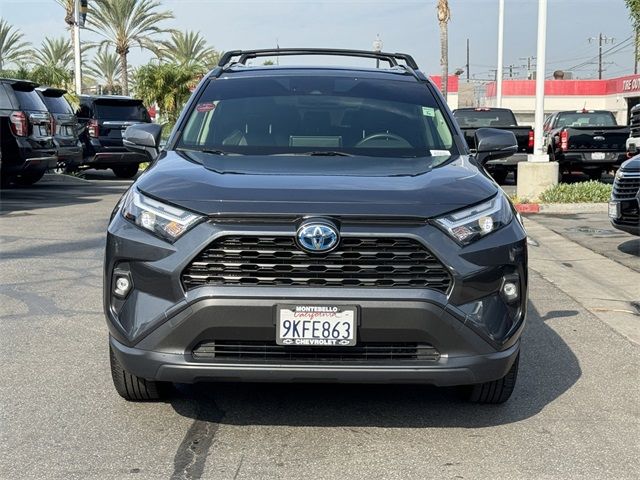 2024 Toyota RAV4 Hybrid XLE Premium