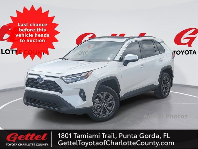 2024 Toyota RAV4 Hybrid XLE Premium