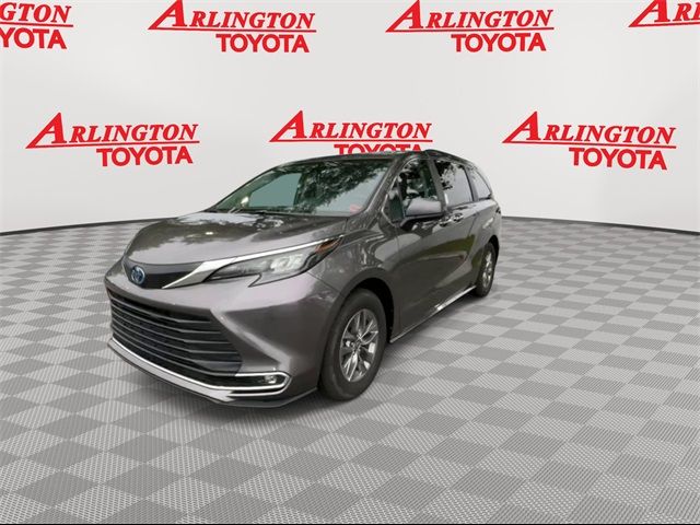 2024 Toyota Sienna XLE