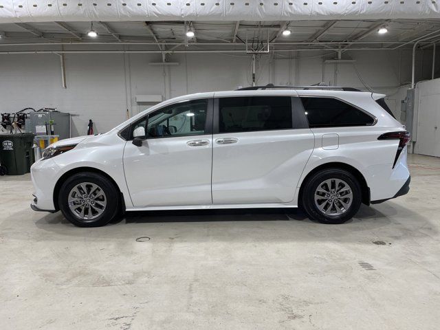 2024 Toyota Sienna XLE