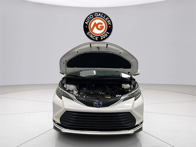 2024 Toyota Sienna XLE