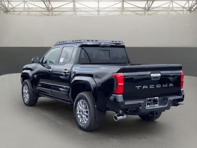 2024 Toyota Tacoma Limited