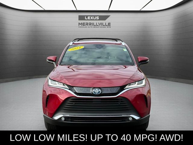 2024 Toyota Venza XLE