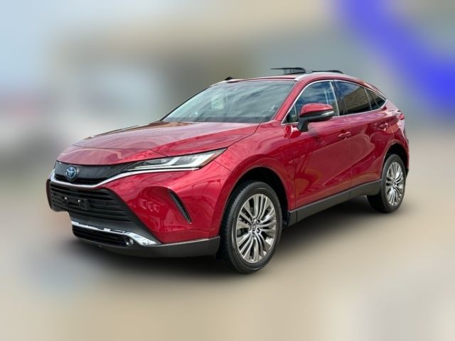 2024 Toyota Venza XLE