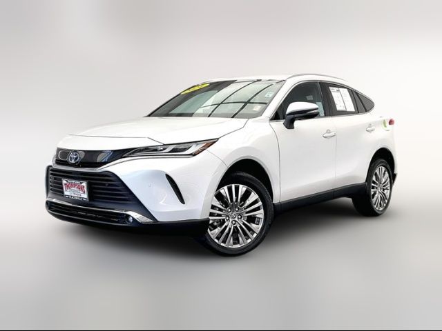 2024 Toyota Venza XLE