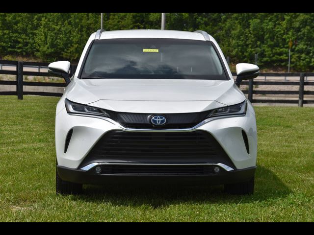 2024 Toyota Venza XLE