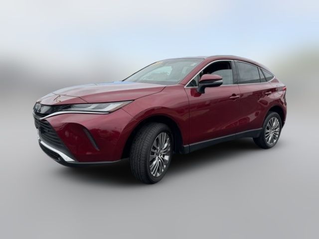 2024 Toyota Venza XLE