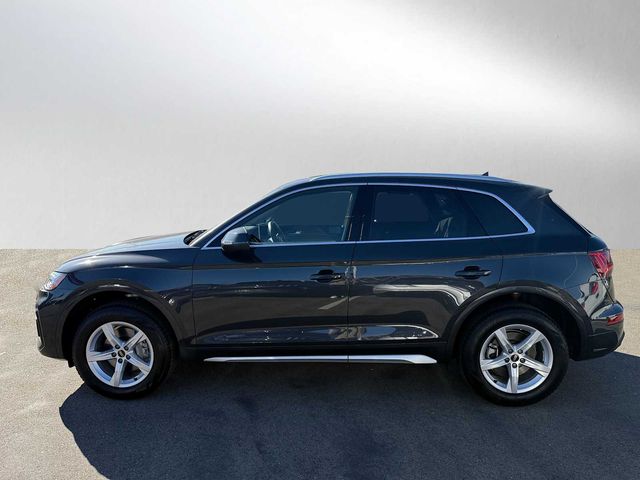 2025 Audi Q5 Premium