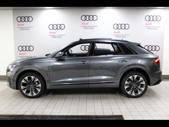 2025 Audi Q8 Technik