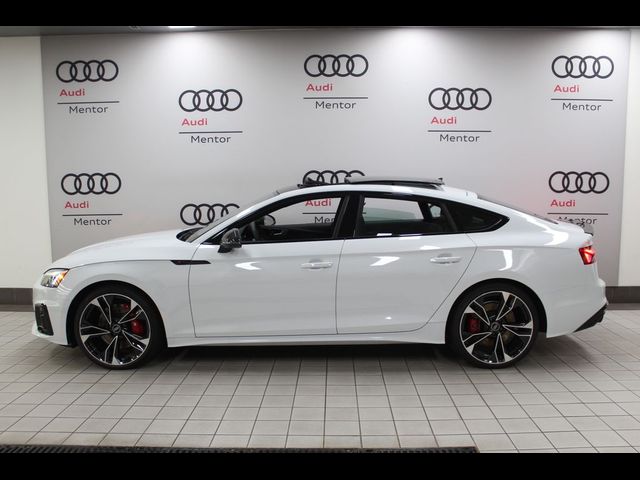 2025 Audi S5 Sportback Premium Plus