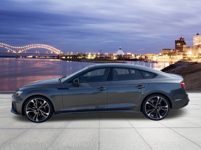 2025 Audi S5 Sportback Premium Plus