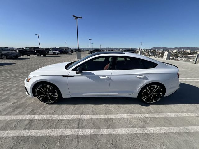 2025 Audi S5 Sportback Premium Plus