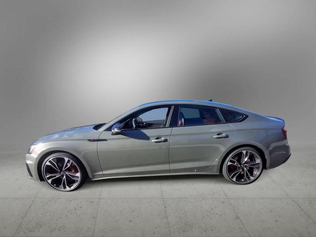 2025 Audi S5 Sportback Premium Plus