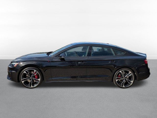 2025 Audi S5 Sportback Premium Plus