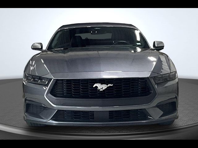 2025 Ford Mustang 