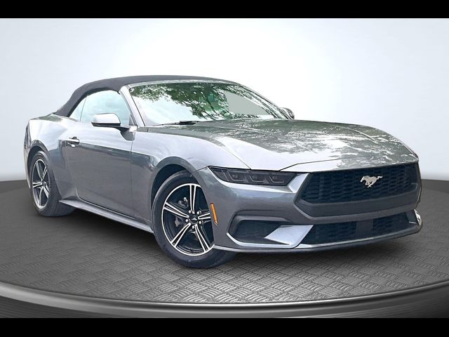 2025 Ford Mustang 