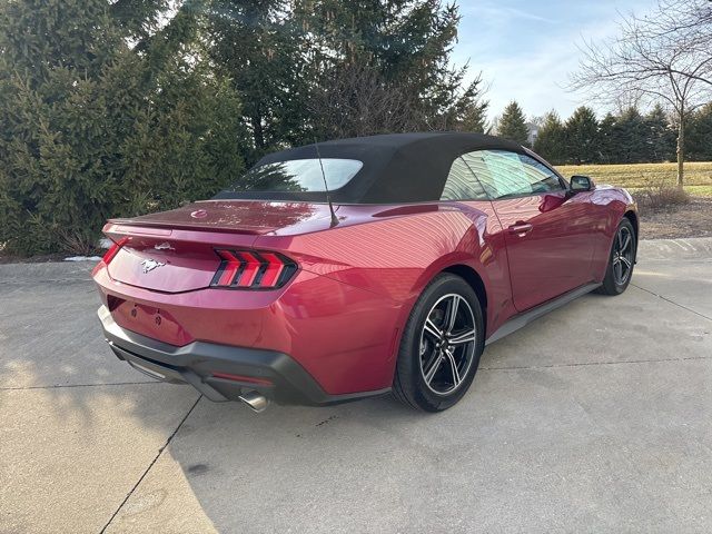 2025 Ford Mustang EcoBoost