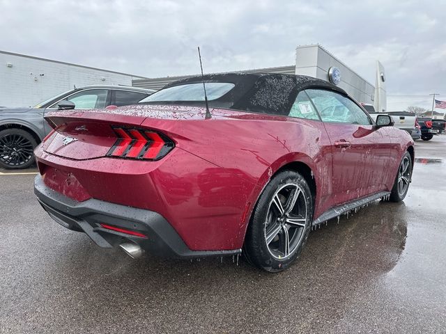 2025 Ford Mustang EcoBoost