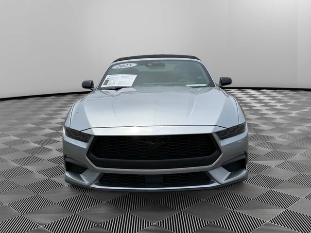 Sitemapcdatahttpstondreferenzcommustang For Sale Knoxville Tn