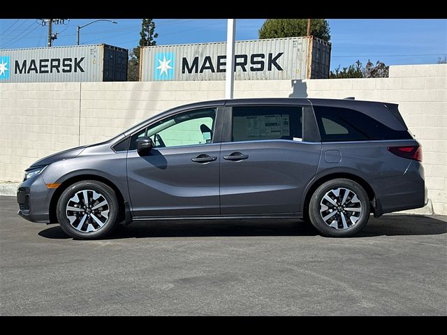 2025 Honda Odyssey EX-L