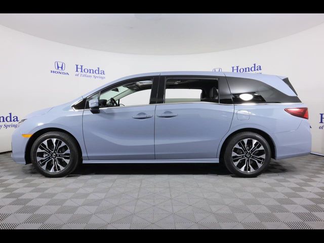 2025 Honda Odyssey Elite