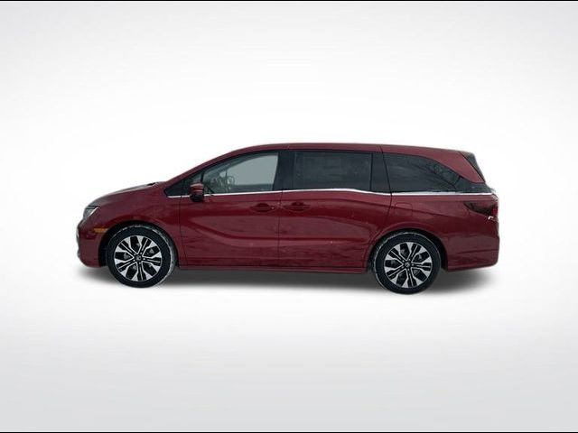 2025 Honda Odyssey Elite