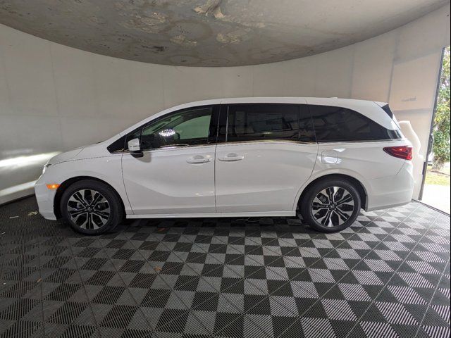 2025 Honda Odyssey Elite