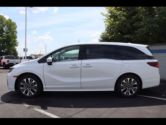 2025 Honda Odyssey Elite