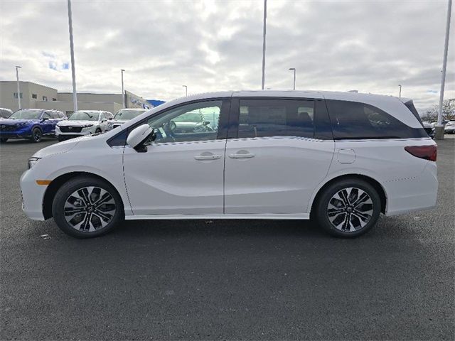 2025 Honda Odyssey Elite