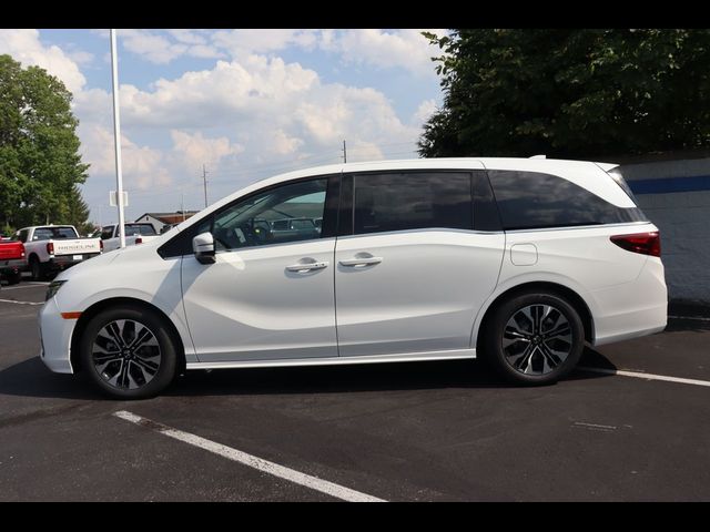 2025 Honda Odyssey Elite