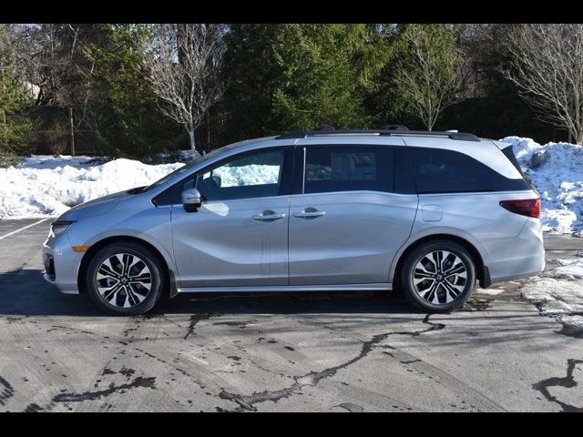 2025 Honda Odyssey Elite