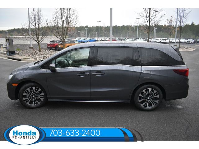 2025 Honda Odyssey Elite