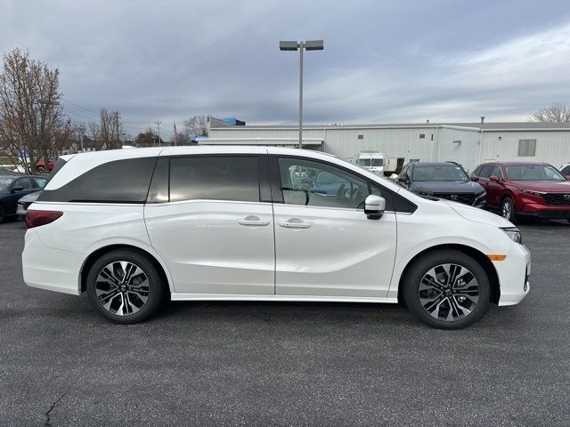 2025 Honda Odyssey Elite