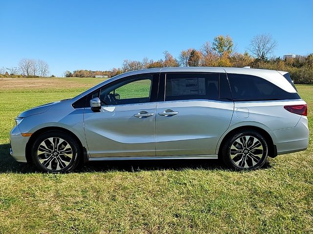 2025 Honda Odyssey Elite